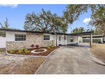 Updated ranch home with stone accents and landscaped yard at 11119 N 21St St, Tampa, FL 33612