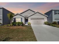 Two-story house with gray siding, landscaping, and a two-car garage at 9114 Forge Breeze Loop, Wesley Chapel, FL 33545