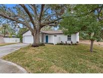 Charming single-story home with vibrant blue door and well-maintained landscaping at 1399 Grapeleaf Ct, Tarpon Springs, FL 34689