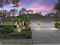 Beautiful home with a three-car garage and lush landscaping at 8784 Ashworth Dr, Tampa, FL 33647