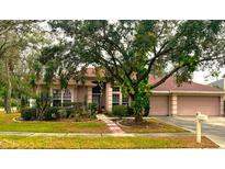 Attractive one-story home with a two-car garage and landscaped yard at 18108 Sugar Brooke Dr, Tampa, FL 33647
