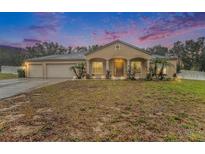 Tan house with three-car garage, lush lawn, and mature trees at 10442 Bloomfield Hills Dr, Seffner, FL 33584