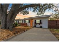 Charming single-story home featuring a spacious driveway, mature tree, and a freshly painted exterior at 1707 Darlington Dr, Tampa, FL 33619