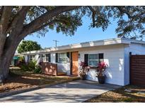 Charming ranch home with a landscaped yard and large tree at 1707 Darlington Dr, Tampa, FL 33619