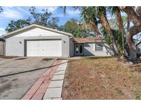 Newly painted house with a two-car garage and a well-maintained lawn at 3917 Briarlake Dr, Valrico, FL 33596