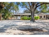 Cute bungalow with carport, mature tree, and well-maintained landscaping at 4020 S West Shore Blvd, Tampa, FL 33611