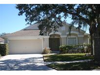 Charming single-story home featuring a well-manicured lawn and attached two-car garage at 5532 War Admiral Dr, Wesley Chapel, FL 33544