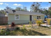 Charming single-story home with a well-maintained lawn and chain-link fence at 1215 E Holland Ave, Tampa, FL 33612