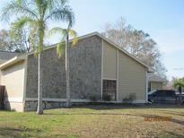 A house with a stone facade and palm trees in the front yard at 3829 Biscay Pl, Land O Lakes, FL 34639