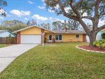 Ranch-style home with a large yard and mature trees at 2237 Spanish Vistas Dr, Dunedin, FL 34698