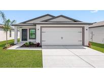 Single-story home with attached garage and landscaped lawn at 29674 Fedora Cir, Brooksville, FL 34602