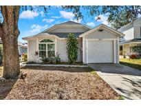 Gray house with white garage door, landscaping, and a large tree in the front yard at 7503 Wakulla Dr, Temple Terrace, FL 33637