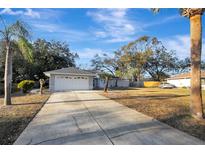 Gray house with white garage door, landscaping, and a palm tree in the front yard at 2733 Glenview Dr, Land O Lakes, FL 34639