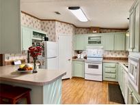 Eat-in kitchen with light green cabinets and wood flooring at 8326 Fantasia Park Way, Riverview, FL 33578