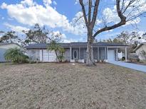 Ranch-style home with screened porch and mature tree in front yard at 806 Chadsworth Ave, Seffner, FL 33584
