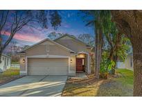 Charming single-story home boasts a well-manicured lawn, mature landscaping, and a two-car garage at 8317 Moccasin Trail Dr, Riverview, FL 33578