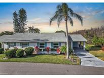 Charming villa with a landscaped yard and a palm tree, offering curb appeal at 141 Glendower Cir # 250, Sun City Center, FL 33573