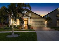 Beautiful 1-story home with screened porch, palm trees, and landscaped yard at 13634 Ashlar Slate Pl, Riverview, FL 33579