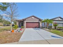 Charming single-story home with a well-manicured lawn, mature landscaping and a two car garage at 6004 Sweet Birch Dr, Riverview, FL 33578