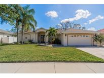 Charming single-story home featuring a well-manicured lawn, palm trees, and a two-car garage at 1509 Ventana Dr, Sun City Center, FL 33573