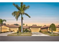 Charming single-story home featuring a tile roof, a well-manicured lawn, and beautiful palm trees at 237 Shell Falls Dr, Apollo Beach, FL 33572