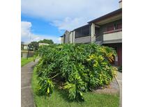 Condo building featuring lush landscaping and serene surroundings at 10263 Gandy Blvd # 2314, St Petersburg, FL 33702