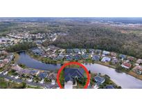 Aerial view showing home's location in a quiet, residential neighborhood at 26848 Shoregrass Dr, Wesley Chapel, FL 33544