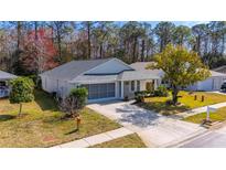 Charming single-story home with well-maintained landscaping, a screened garage, and a concrete driveway at 11446 Sinatra, New Port Richey, FL 34654