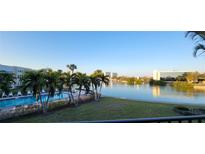 Scenic view of a community pool surrounded by palm trees and overlooking a tranquil lake at 7401 Bay Island S Dr # 234, South Pasadena, FL 33707