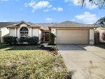 Charming single-story home with a well-manicured lawn and attached two-car garage at 1009 Hardwood Dr, Valrico, FL 33596