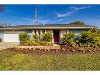 Charming home with a red front door, lush landscaping, and well-maintained lawn at 3298 Buckhorn Dr, Clearwater, FL 33761