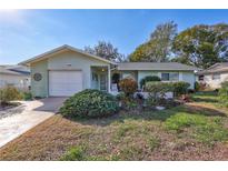 Charming single-story home featuring a well-manicured front yard with lush landscaping and inviting curb appeal at 1487 Dundee Dr, Palm Harbor, FL 34684