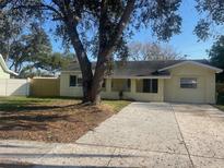 Charming single-story home with well-maintained landscaping, concrete drive, and mature shade trees at 8969 109Th Ter, Seminole, FL 33777