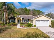 Charming single-story home with a well-manicured lawn and lush landscaping at 29447 Schinnecock Hills Ln, San Antonio, FL 33576