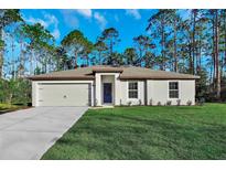 Charming single-story home with manicured lawn and attached two-car garage under a bright blue sky at 11073 Jackdaw Rd, Weeki Wachee, FL 34614