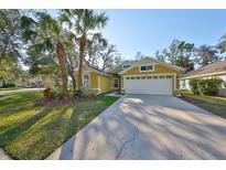 Charming, bright yellow single-story home with a well-maintained lawn, lovely palm trees and a two-car garage at 6125 Gannetwood Pl, Lithia, FL 33547
