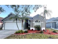 Charming single-story home with a manicured lawn, landscaped flowerbeds, and attached two-car garage at 10251 Oasis Palm Dr, Tampa, FL 33615