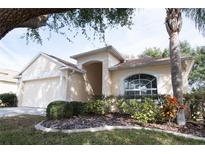 Charming single-story home featuring a well-manicured lawn and an attached two-car garage at 5011 Glenburne Dr, Spring Hill, FL 34609