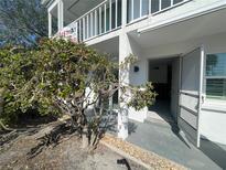 Condo front entrance with light gray patio, bright white trim and frame, and a view into the home at 1001 Inlet Cir # 169, Venice, FL 34285