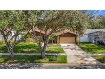 Charming single Gathering home with well maintained lawn, mature tree, and two car garage at 3217 Taragrove Dr, Tampa, FL 33618