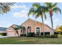 Charming single-story home with a two-car garage, lush lawn, and decorative palm trees at 7533 Dunbridge Dr, Odessa, FL 33556