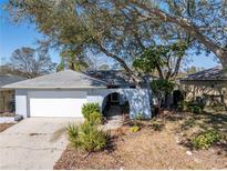 Charming single-story home with a well-maintained lawn and mature trees providing ample shade at 2609 Ridge Ln, Palm Harbor, FL 34684