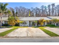 Charming single-story home with a well-manicured lawn and mature palm trees at 2914 Westmoreland Ct, New Port Richey, FL 34655