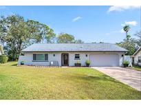 Charming single-story home with a well-manicured lawn and an attached two-car garage at 3373 Brodie Way, Palm Harbor, FL 34684