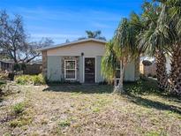 Charming single-story home with a stone facade and lush landscaping with palm trees at 11125 Mahin Ln, Riverview, FL 33578