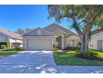 Charming single-story home with a well-manicured lawn, mature trees, and an attached two-car garage at 3133 Beaver Pond Trl, Valrico, FL 33596