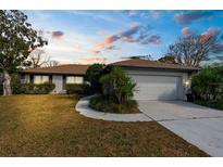 Charming single-story home with a well-manicured lawn and a two-car garage at 8701 Braxton Dr, Hudson, FL 34667