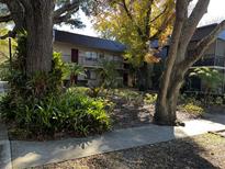 Condo building featuring tropical landscaping, walkways, and mature oak trees at 11723 Raintree Village Blvd # B, Temple Terrace, FL 33617