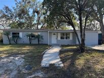 Charming single-story home featuring a well-manicured front yard and a welcoming walkway at 1919 E Noel St, Tampa, FL 33610