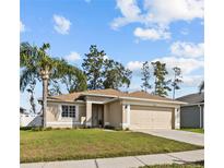 Charming single-story home featuring a two-car garage, well-maintained lawn, and a palm tree in the front yard at 30613 Midtown Ct, Wesley Chapel, FL 33545